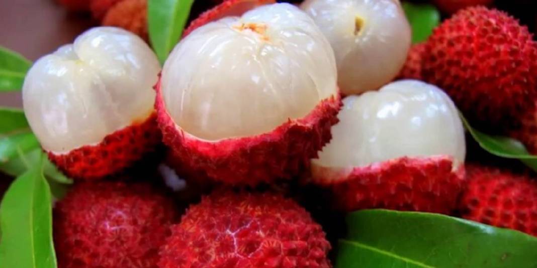 Mucize meyve sadece Mersin’den çıkıyor! Tadıyla şaşırtıyor, kral meyvesi ömrü uzatıyor 6